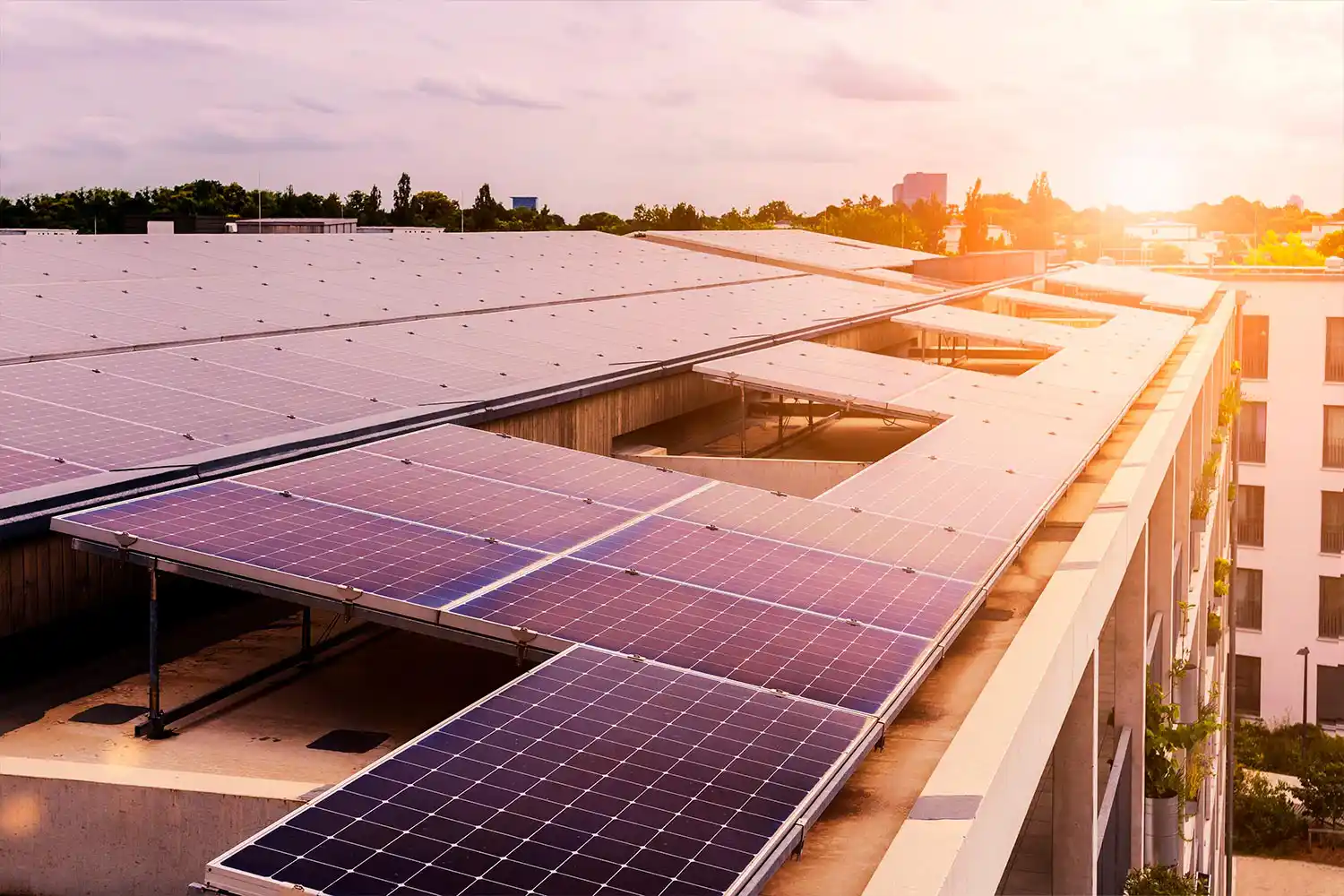 Cómo Optimizar el Presupuesto de la Comunidad de Propietarios Fomento del Ahorro Energético Placas Solares